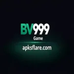 BV999 Game